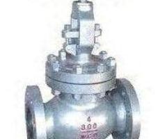 GLOBE VALVES SUPPLIERS IN KOLKATA - 1/1